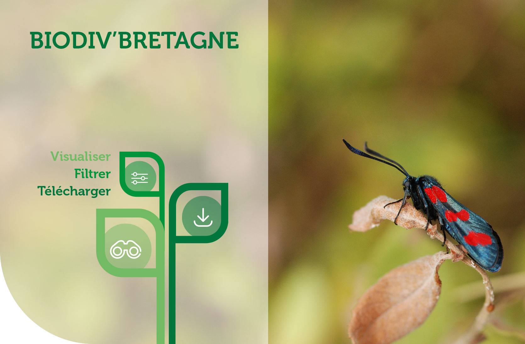 Biodiv'Bretagne, les données naturalistes en Bretagne